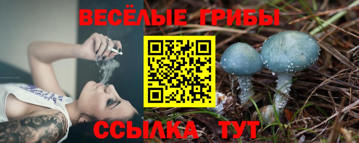 Псилоцибиновые грибы мицелий  Вход с VPN  Кудымкар 